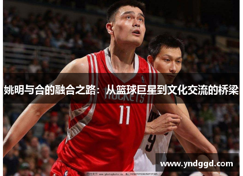 姚明与合的融合之路：从篮球巨星到文化交流的桥梁